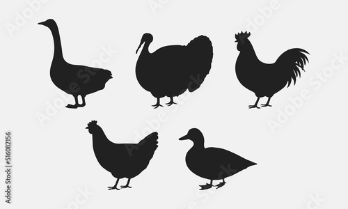 Poultry farm Silhouettes. Goose, Turkey, Rooster, Hen, Duck. Farm Animals icons isolated on white background. Vector poultry icons. 