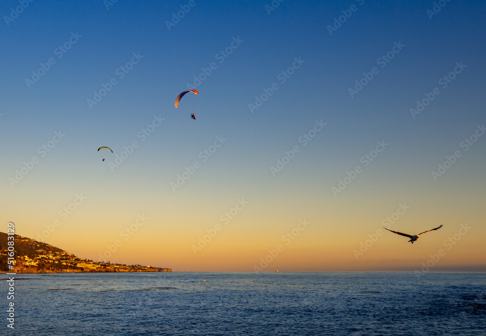 Parasailers over Laguna beach California at sunset with a flying seagull Parasailers over Laguna beach California at sunset with a flying seagull