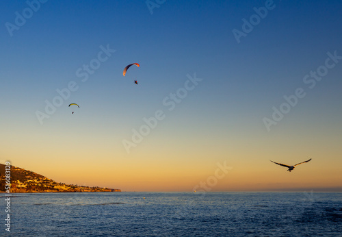 Parasailers over Laguna beach California at sunset with a flying seagull