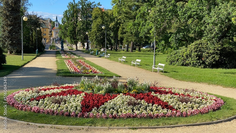 Obraz premium Garden with flowers