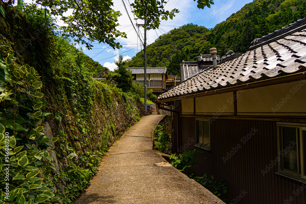 田舎の住宅地の路地 田舎の住宅地の路地