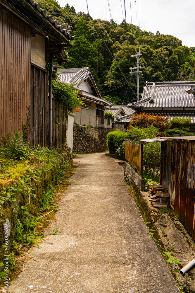 田舎の住宅地の路地