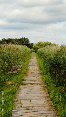path to the field © Bartosz