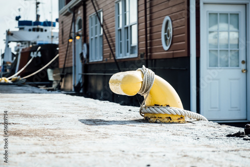 Mooring cleat with mooring line