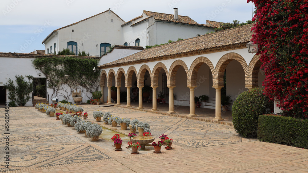 Obraz premium Patio of rich merchant house in Cordoba