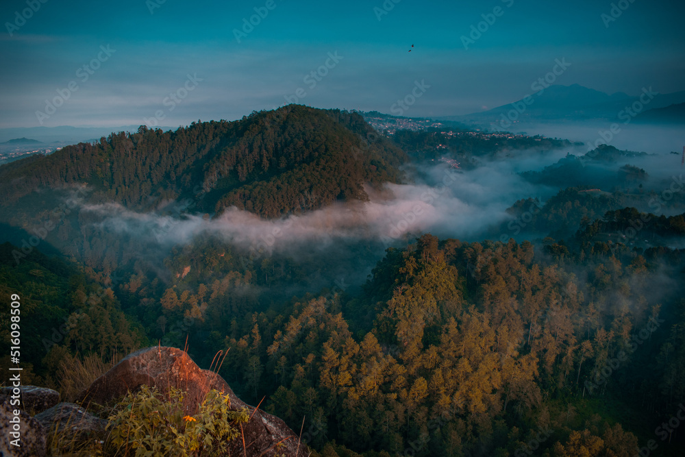 landscape with fog