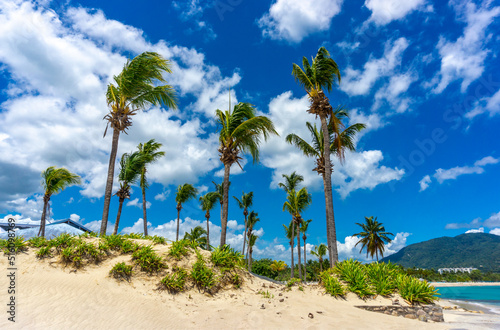 Puerto Plata - Dominican Republic, Beautiful Tropical Beach - July, 2022 photo