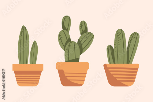 Set of Abstract cactus plant with pot hand drawn. Vector illustration