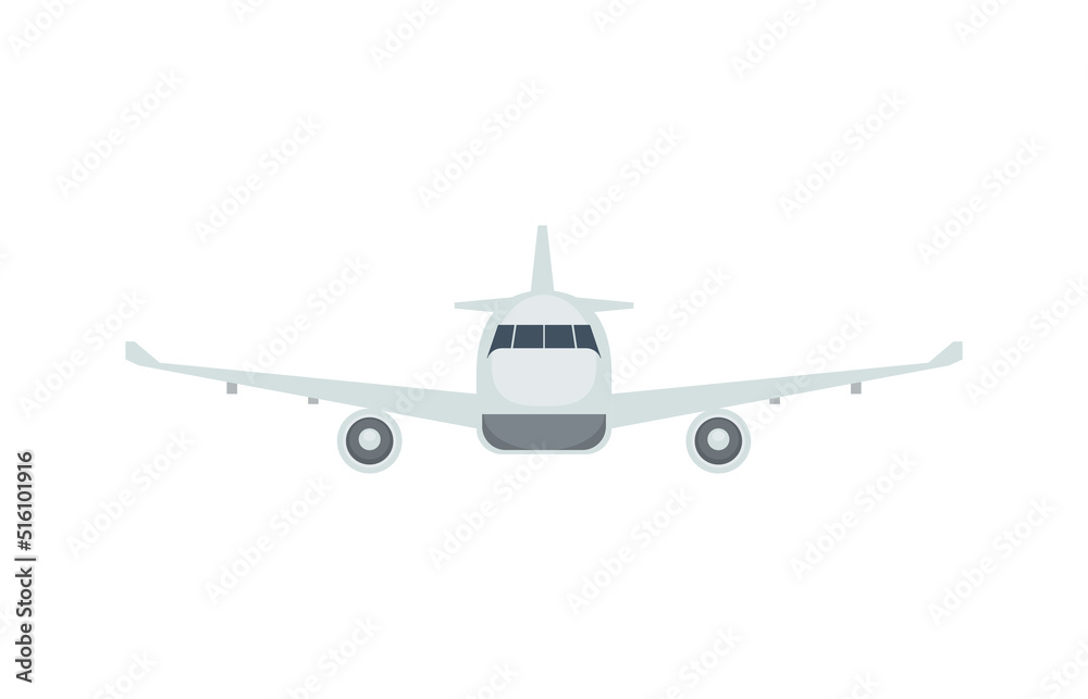 Fototapeta premium airplane flying front view