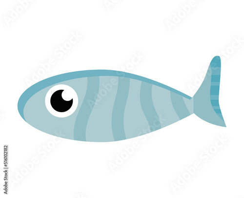 fish sealife animal