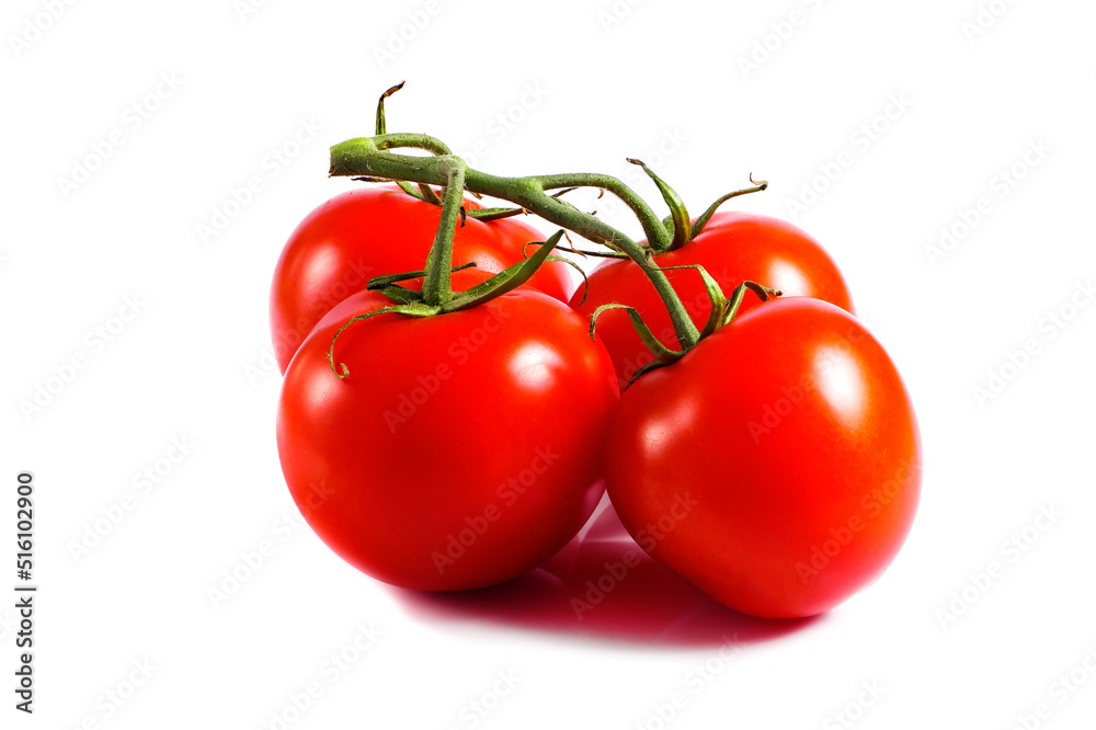 vine of ripe tomatoes isolated on white background vine of ripe tomatoes isolated on white background