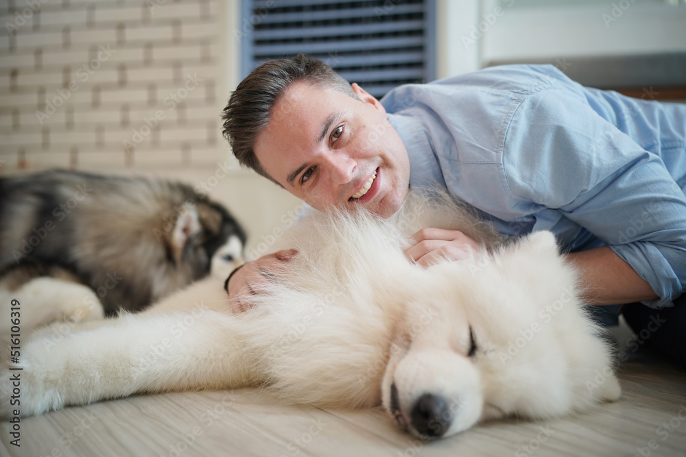 Happy laughing adult man lying on wooden floor. Bald male emotions. Guy with his siberian husky dog at home. Love animals. Domestic mammal puppy licking owner ear. Funny expressive leisure time. 