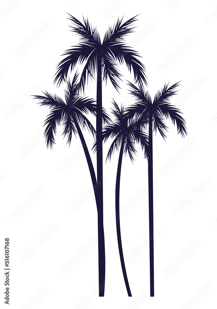 trees palms silhouettes