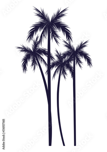 trees palms silhouettes