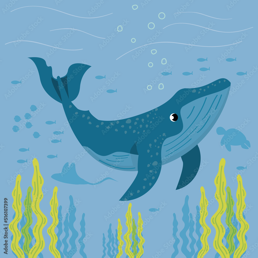 whale sealife underwater