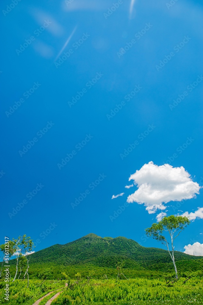 Obraz premium 夏の尾瀬ヶ原と燧ヶ岳