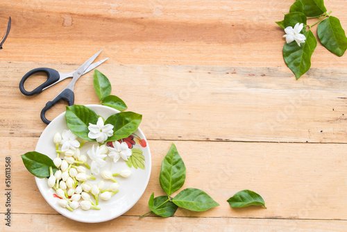 white flowers jasmine in dish with scissors arrangement flat lay style on background wooden