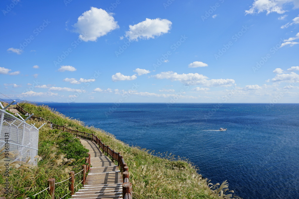 wonderful walkway at seaside cliff