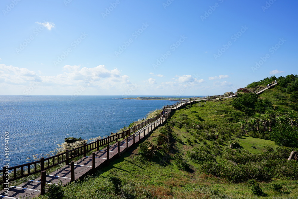 Obraz premium fascinating seaside walkway