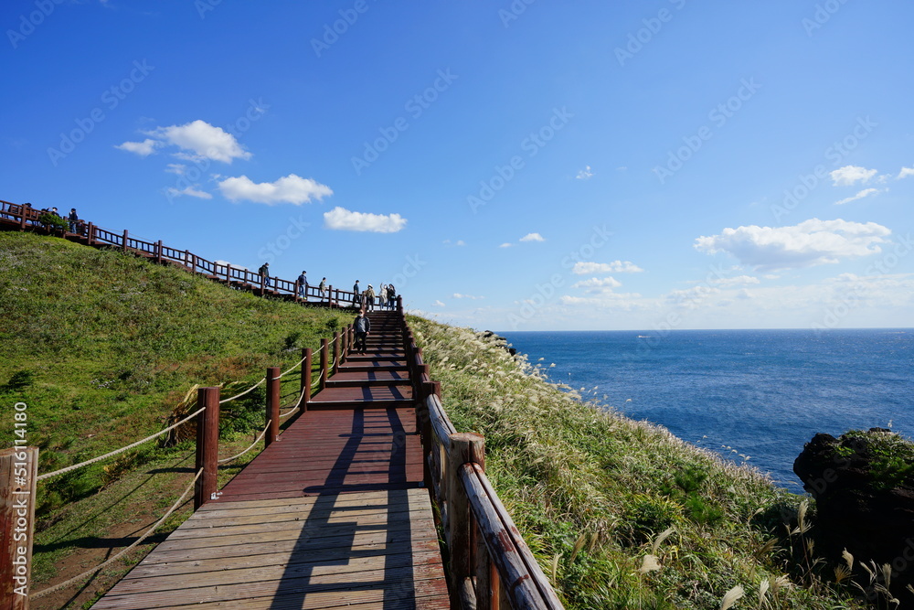 Obraz premium fascinating seaside walkway