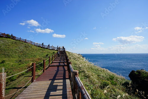 fascinating seaside walkway
