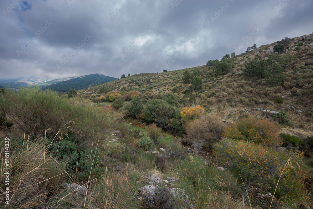Views of the Mediano Stream, in the Hueco de San Blas Valley, a very popular place for hikers located in the municipality of Manzanares el Real, province of Madrid, Spain
