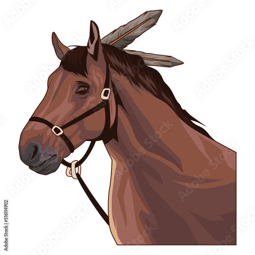 horse with feathers