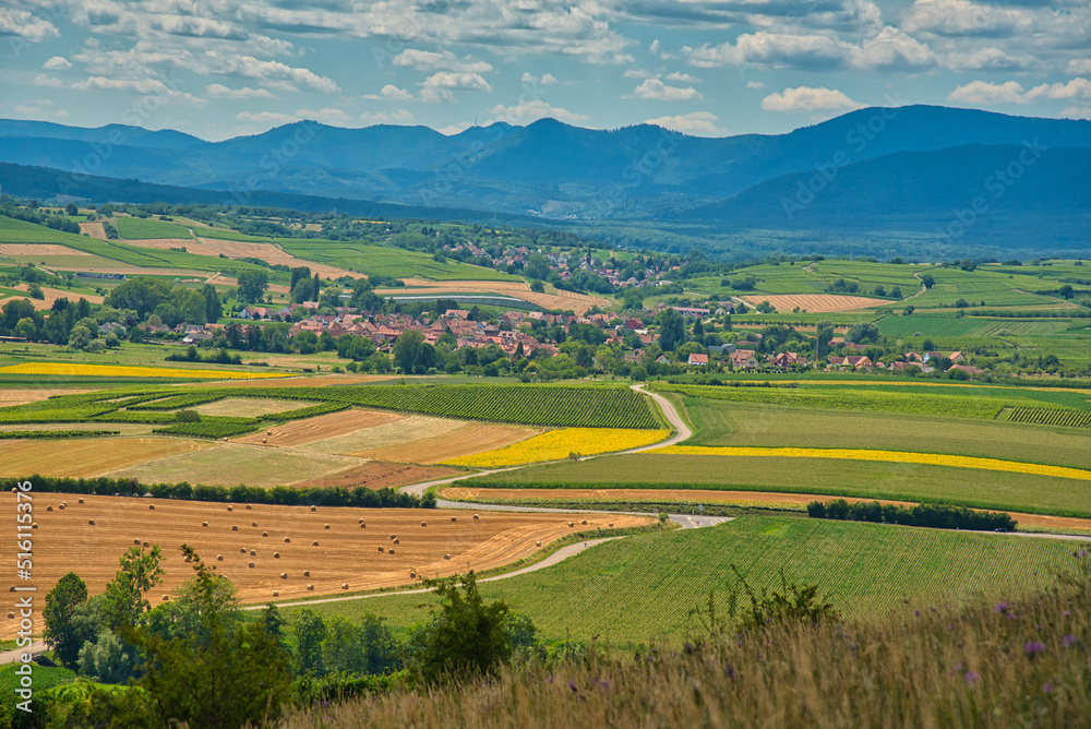 Naklejka premium Scharrachberg im nördlichen Elsass