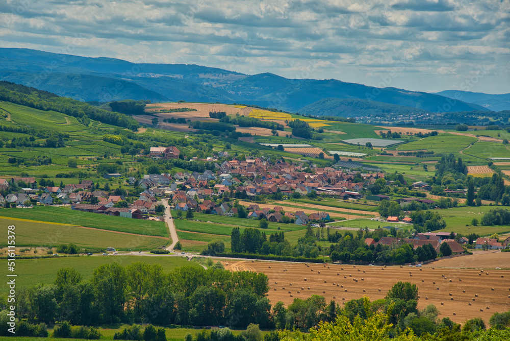 Landschaft bei Scharrachbergheim im Elsass