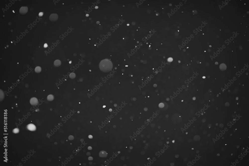 Snow background. Snow on a black background. Snowflakes for overlay. Snow background. Snow on a black background. Snowflakes for overlay.