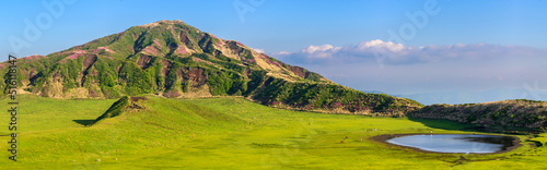 阿蘇草千里ヶ浜「ミヤマキリシマの花」パノラマ景色 Aso Kusasenrigahama "Miyama Kirishima flower" panorama view 日本(新緑)2022年撮影 Taken in 2022 in Japan (fresh green) 九州・熊本県阿蘇市(阿蘇草千里ヶ浜) Aso City, Kumamoto Prefecture, Kyushu