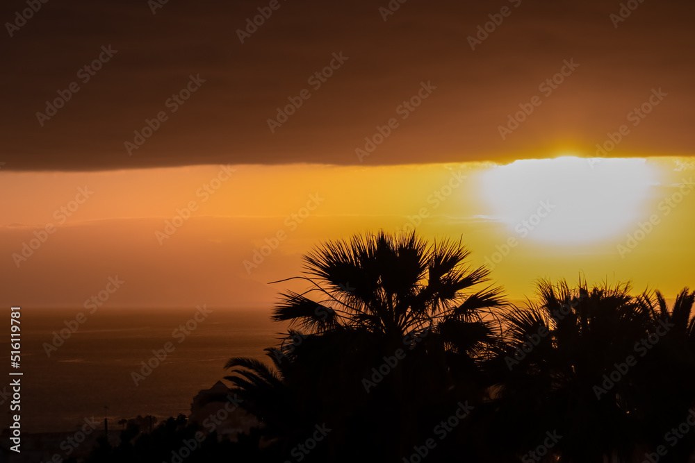 Beautiful colorful sunset sky with silhouette palm trees in the foreground on Costa Adeje beach on Tenerife, Canary Islands, Spain, Europe, EU. Vacation vibes on touristic island in the Atlantic Ocean