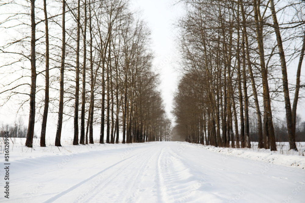 Fototapeta premium Winter landscape of country fields and roads