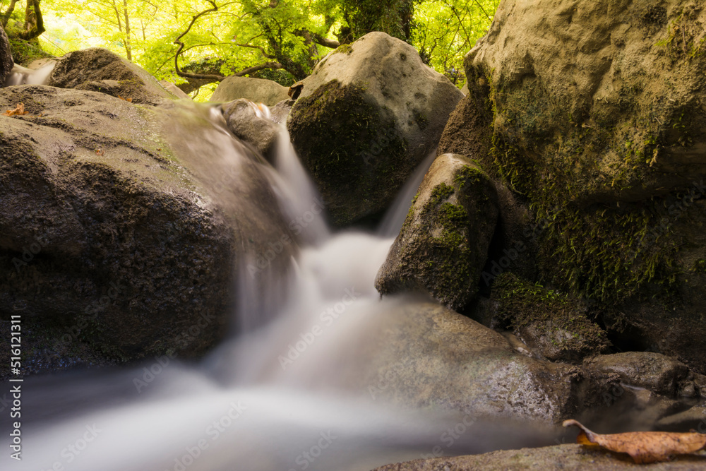 Fototapeta premium waterfall in the forest