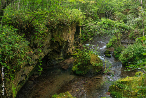 北海道苫小牧市、草木と苔が生い茂る夏の樽前ガロー【7月】