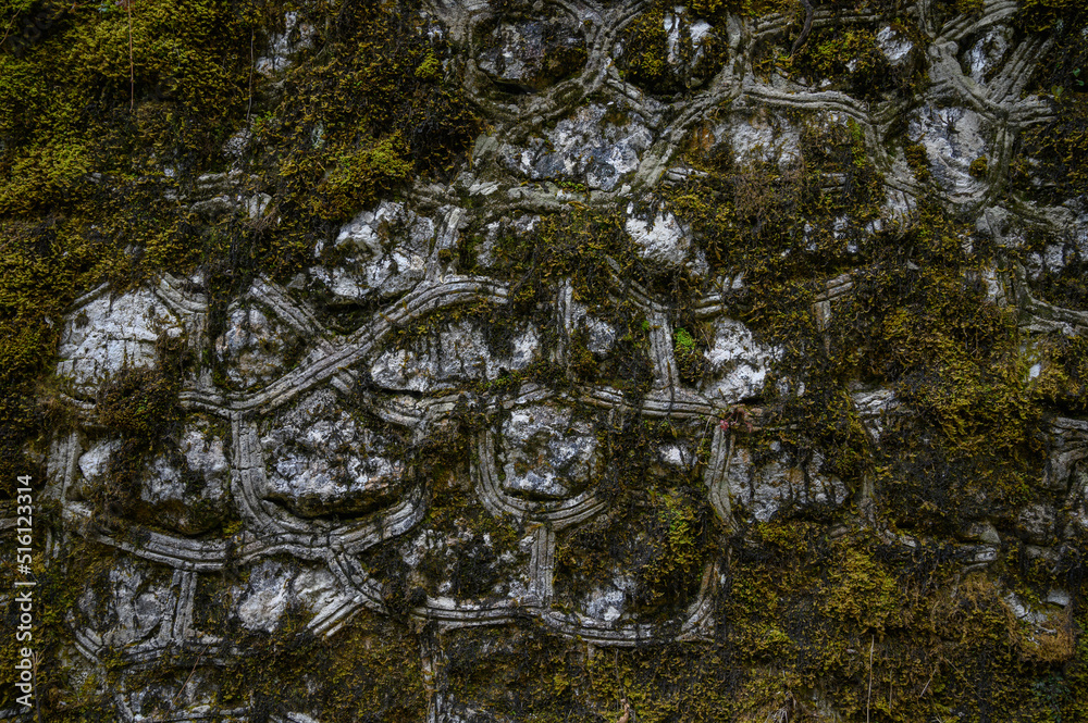 Obraz premium An old stone wall covered with moss and withered grass. The texture of the stone background.