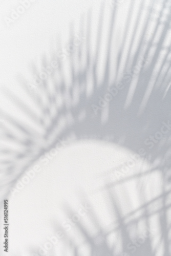 Shadows of palm trees on white walls