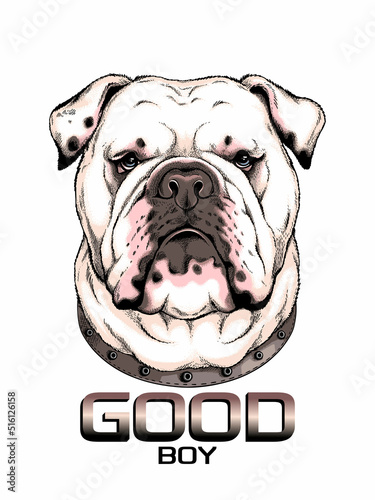 Cute english bulldog sketch. Vector illustration in hand-drawn style . Image for printing on any surface