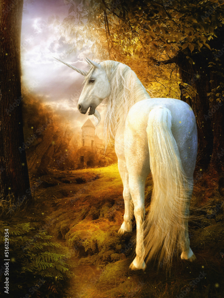 illustration white unicorn in the field illustration white unicorn in the field