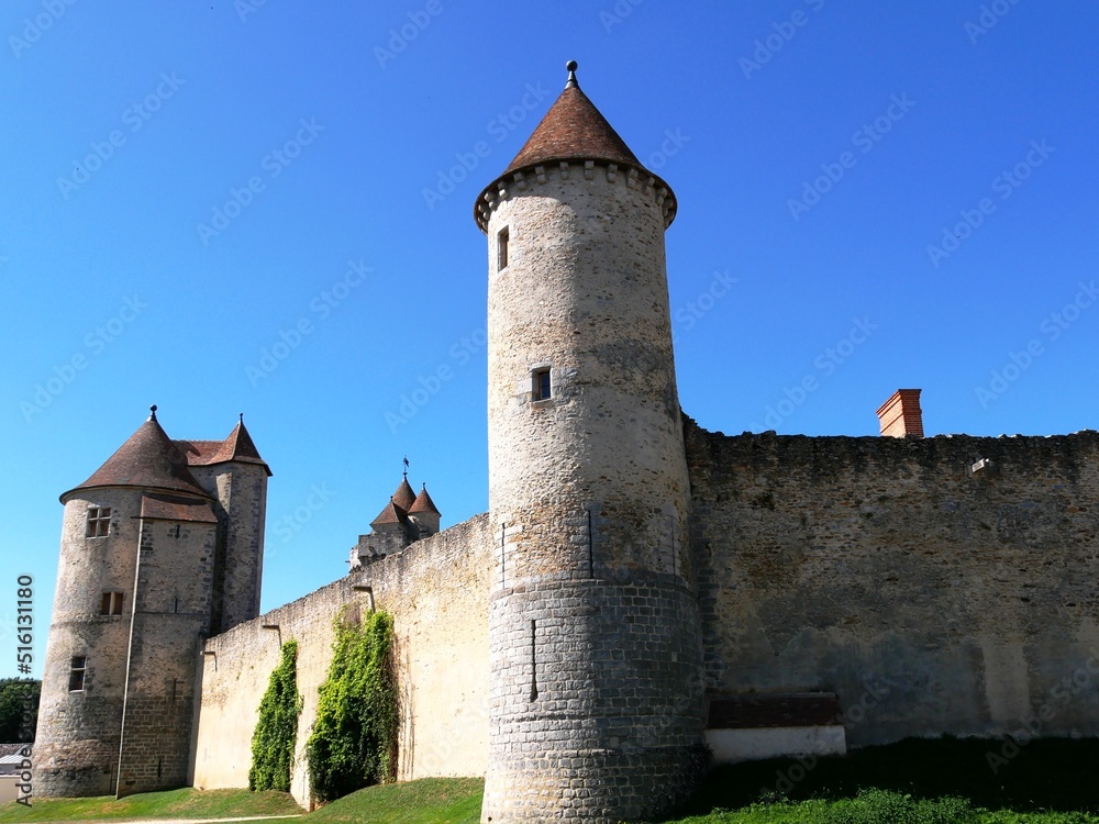 Château fort du XIIIème siècle à Blandy-les-Tours en Seine et Marne. France
