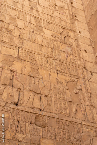 Wall of hieroglyphs in Karnak temple closeup. Egypt. Vertically.