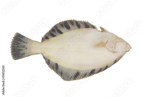 Raw flatfish or plaice fish isolated on white background