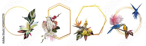 A set of tropical frames. Parrots. Realistic illustration of tropical flowers and leaves. photo