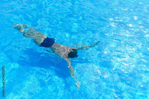 Young athletic man swimming in the swimming pool. Active sport