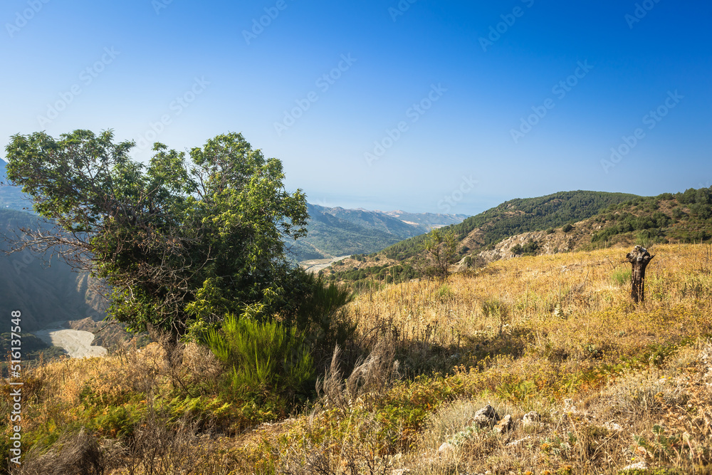 View from Aspromonte towards olive garden hills and mediterranean sea in Calabria near Bagaladi town
