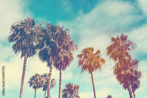 Vintage retro toned postcard of palms on Venice beach in Santa Monica, California