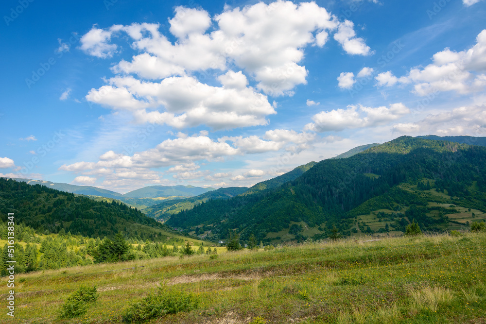 beauty of carpathian mountain landscape in summer. wonderful green countryside scenery on a sunny day. forested hills and grassy meadows beneath a blue sky fluffy clouds