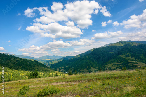 beauty of carpathian mountain landscape in summer. wonderful green countryside scenery on a sunny day. forested hills and grassy meadows beneath a blue sky fluffy clouds