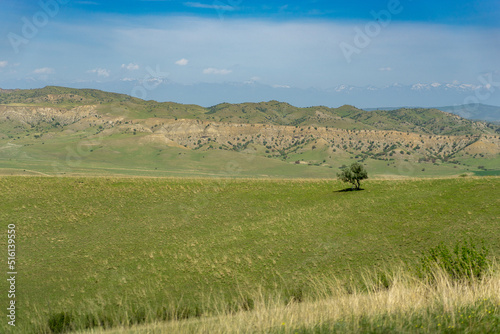 Kahetia  Georgia mountain and fields landscape view