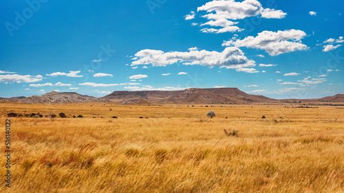 Yellow brown grass growing on African savanna, few bushes and trees, small rocky mountains in background - typical scenery at Maninday region, Madagascar